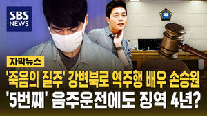 [자막뉴스] '죽음의 질주' 강변북로 역주행 배우 손승원&hellip;'5번째' 음주운전에도 징역 4년?