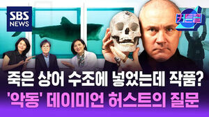 SBS 뉴스 커튼콜, 죽은 상어 수조에 넣었는데 작품? 악동 데이미언 허스트의 질문, 해골 든 남성.