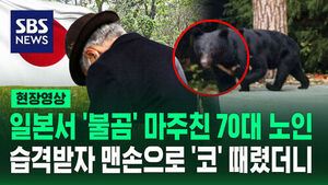 [현장영상] 산나물 캐다 만난 '불곰'에 코 때려 격퇴 "가능하면 가지 마"
