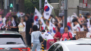 전국으로 번진 '참정권 침해' 규탄&hellip;시국선언 잇따라