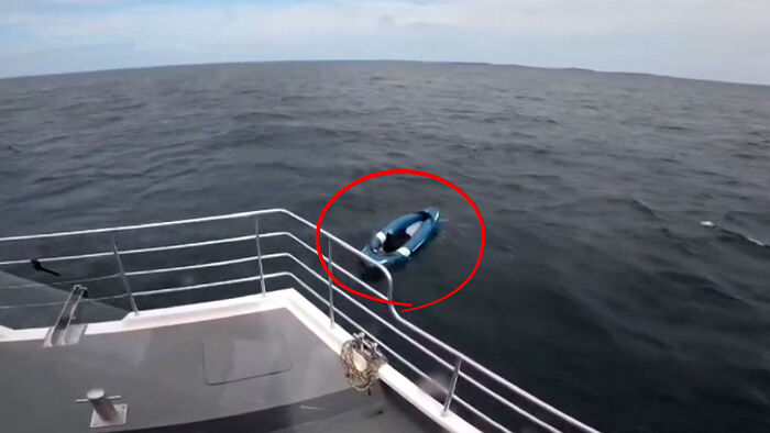 Dog Rescued After Drifting Alone on Kayak