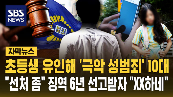 Teenager Sentenced to 6 Years for Heinous Sex Crimes Against Elementary Student, Outburst in Court