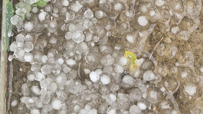 Hailstones About 1cm in Diameter Fall in Paju, Gyeonggi Province; "No Damage Reported"
