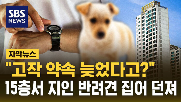 Man Receives Suspended Prison Sentence for Throwing Acquaintance's Puppy from 15th Floor