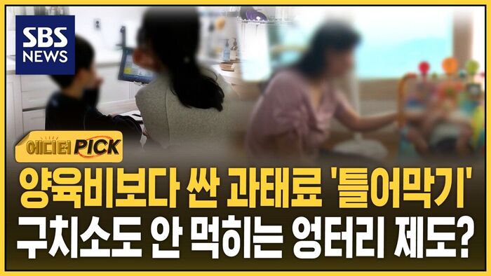양육비보다 싼 과태료로 틀어막기..구치소도 안 먹히는 허술 제도?