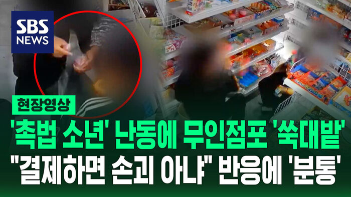Unattended Store Left in Ruins by 'Juvenile Offenders': Owner Outraged by 'Payment Means No Damage' Claim