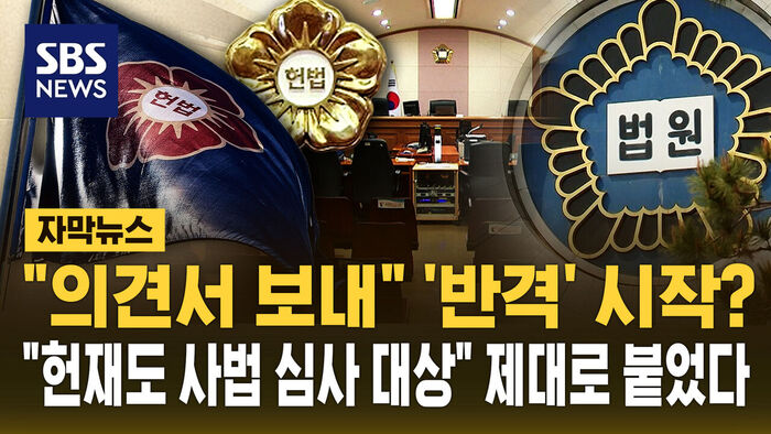 Subtitles: A Counterattack Begins? "Constitutional Court Subject to Judicial Review" — Tensions Escalate