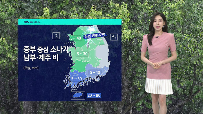 Showers in Central Regions, Up to 80mm of Rain in Jeju and Southern Areas