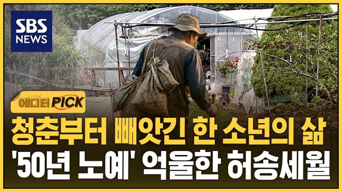 청춘부터 빼앗긴 한 소년의 삶..'50년 노예' 억울한 허송세월