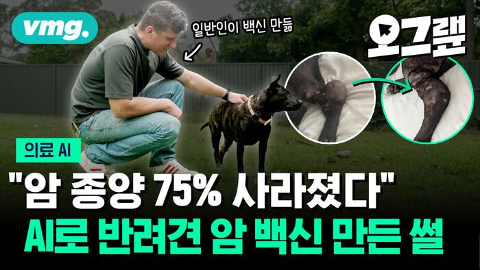 암 종양 75퍼센트 사라졌다, AI로 반려견 암 백신 만든 썰