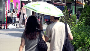 땡볕 내리쬐다 '폭우'&hellip;날씨 변덕에 떠오른 '여름 생존템'