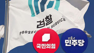 "경찰 괴물 탄생할 것" vs "보완수사권은 별개"