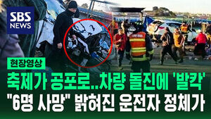 [현장영상] '축제'가 '비명'으로&hellip;차량 돌진 참사에 칠레 '발칵'