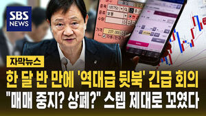 [자막뉴스] 허가 한 달 반 만에 '역대급 뒷북' 긴급 회의&hellip;"매매 중지? 상폐?" 스텝 제대로 꼬였다