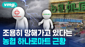 조용히 망해가고 있다는 농협 하나로마트 근황. 홈플러스와 하나로마트 캐릭터 뒤로 번개 치는 배경.