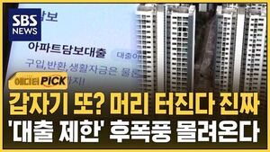 [에디터픽] 아파트 계약했다 '날벼락'&hellip;더 멀어진 '내집 마련'