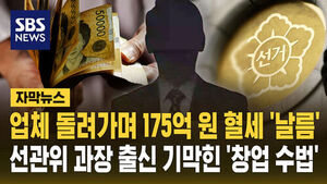 175억 혈세