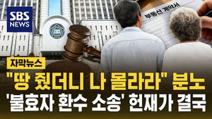 [자막뉴스] "땅 줬더니 나 몰라라" 분노&hellip;'불효자 환수 소송' 헌재가 결국