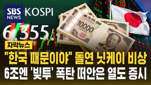 닛케이 비상