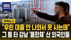 "우린 대출 막혀 못 사는데"&hellip;'똘똘한 한 채' 사는 외국인들