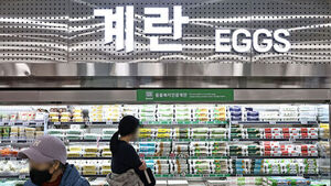 농식품부, 산란계협회 설립 허가 취소&hellip;"가격 경쟁 제한"