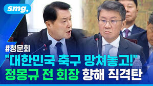 청문회 현장에서 발언하는 국회의원과 안경을 쓴 정몽규 전 회장