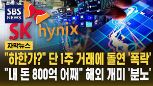 해외 개미 분노
