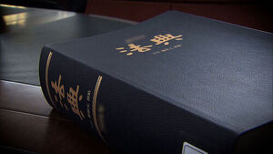 모호한 공소기각 사유&hellip;거세지는 '졸속 입법' 비판