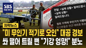 적기로 오인
