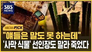 폭염 농가