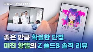 갤럭시 Z 폴드 8 : 열흘만 써 봐도 보이는 확실한 활용법/단점