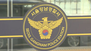 대치동서 술 취해 차도로 나온 40대 남성&hellip;차에 치여 숨져