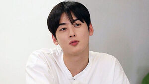 "I'm Cha Eun-woo's fan"... Woman caught eavesdropping on Cha Eun-woo