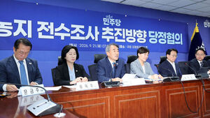 Ruling Party, Gov't to Enact Special Law by Year-End to Legalize Illegally Converted Farmland