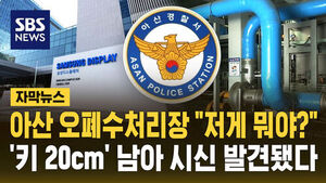 "저게 뭐야?" 오폐수처리장서 '키 20cm' 남아 시신 발견