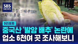[D리포트] 중국산 '발암 배추' 논란에 업소 6천여 곳 조사해보니&hellip;포름알데히드 '0건'