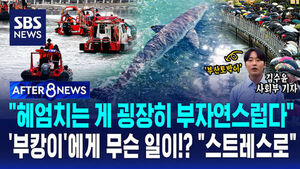 [AFTER 8NEWS] "헤엄치는 게 굉장히 부자연스럽다"&hellip;'부캉이'에게 무슨 일이!? "스트레스로"