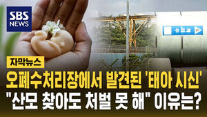 [자막뉴스] 오폐수처리장에서 발견된 '태아 시신'&hellip;"산모 찾아도 처벌 못 해" 이유는
