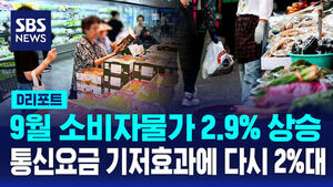 [D리포트] 9월 물가 2.9%&hellip;통신요금 기저효과에 다시 2%대