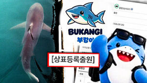 "돈 냄새 나네?" 상표 출원&hellip;'화들짝' 부산시 대응 나선다