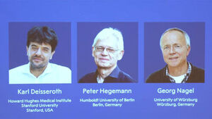 Karl Deisseroth and Two Others Win 2026 Nobel Prize in Physiology or Medicine for Optogenetics