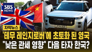 테무 레인지로버