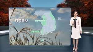 8뉴스 날씨 (임은진 기상캐스터)