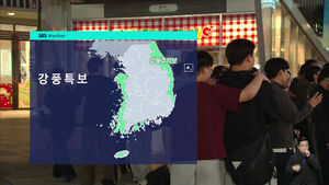 날씨 라이브