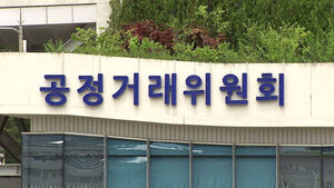 '내돈내산'인 척&hellip;SNS 뒷광고 모니터링 5년간 10만 건 넘어