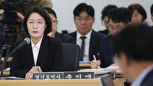 추미애 경기도지사가 19일 경기도 수원시 경기도청에서 열린 국회 국토교통위원회의 경기도에 대한 국정감사에서 위원 질의에 답변하고 있다. (사진=연합뉴스)