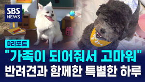 [D리포트] 강아지들이 우르르&hellip;그런데 특별한 사연이 있습니다