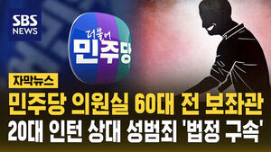 [자막뉴스] 민주당 의원실 60대 전 보좌관, 20대 인턴 상대 성범죄 '법정 구속'