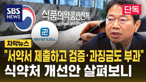 [자막뉴스/단독] "서약서 제출하고 검증&middot;과징금도 부과"&hellip;식약처 개선안 살펴보니