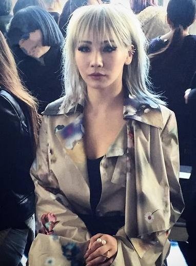 기사 대표 이미지:씨엘, 영화배우로 할리우드 진출…평창올림픽 이어 글로벌 행보